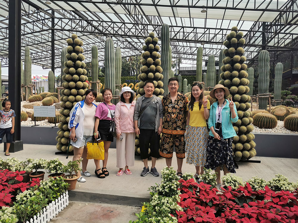 出發(fā)在鴻成，暢爽泰國游(圖3)